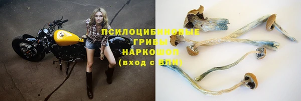a pvp Осинники