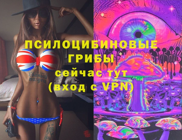 гидра Осташков