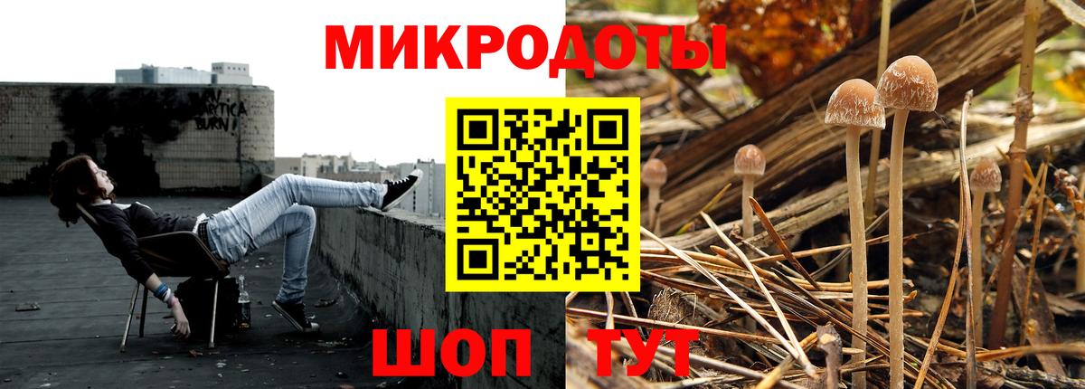 Псилоцибиновые грибы Cubensis Курчатов