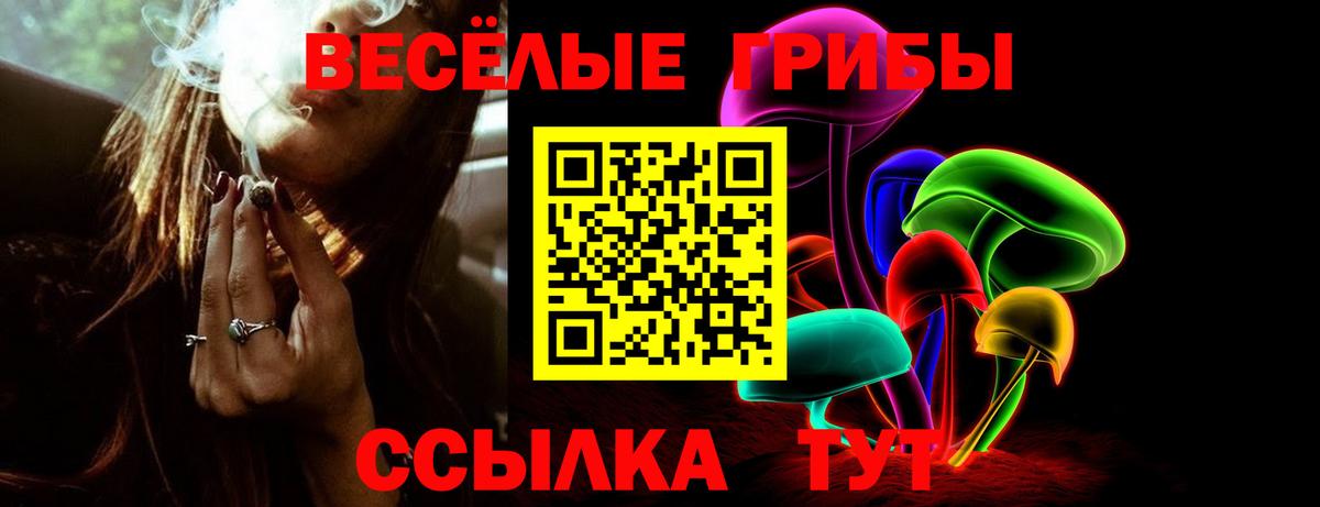 Псилоцибиновые грибы ЛСД  Курчатов  Галлюциногенные грибы мицелий 